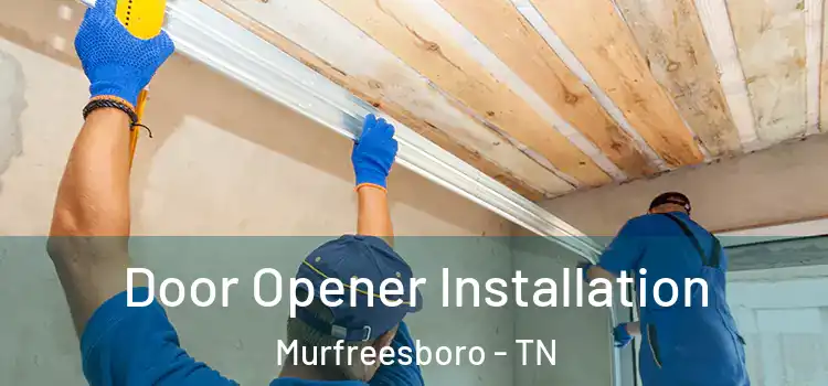 Door Opener Installation Murfreesboro - TN