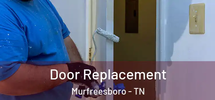  Door Replacement Murfreesboro - TN