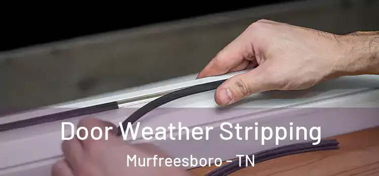 Door Weather Stripping Murfreesboro - TN