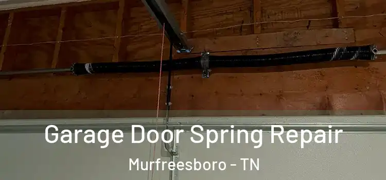  Garage Door Spring Repair Murfreesboro - TN