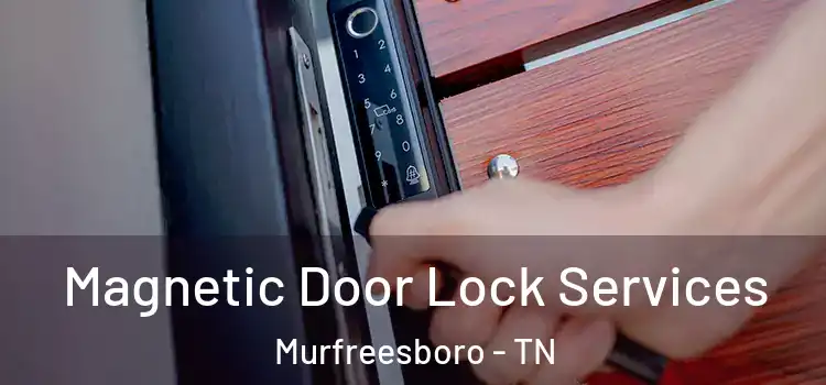 Magnetic Door Lock Services Murfreesboro - TN