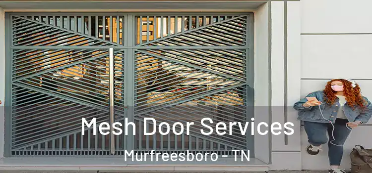  Mesh Door Services Murfreesboro - TN